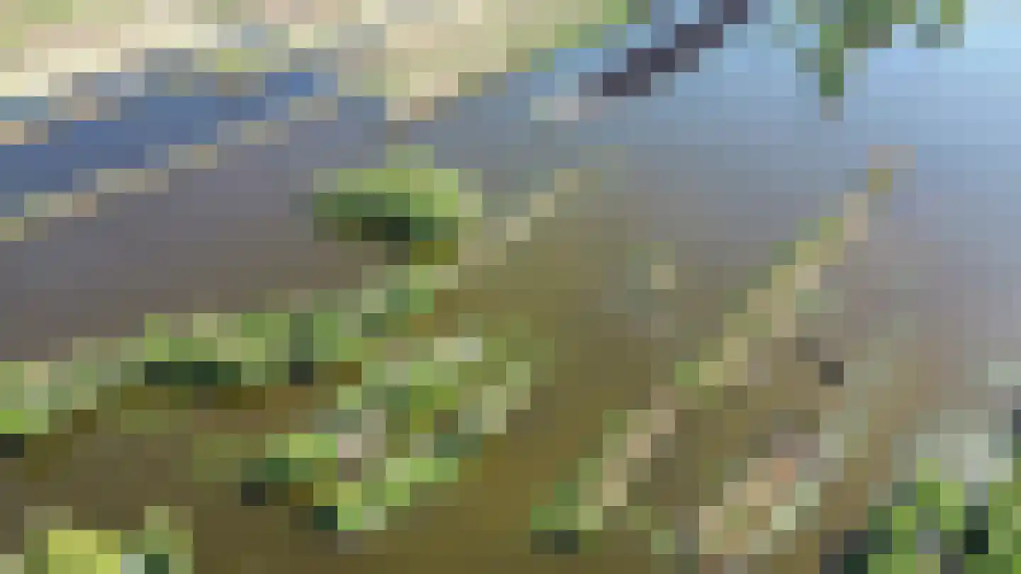 Zuideinde 2283 Nieuwkoop thumbnail 8