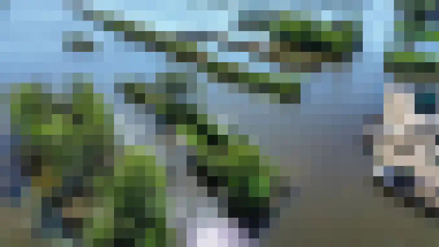 Zuideinde 2283 Nieuwkoop thumbnail 9
