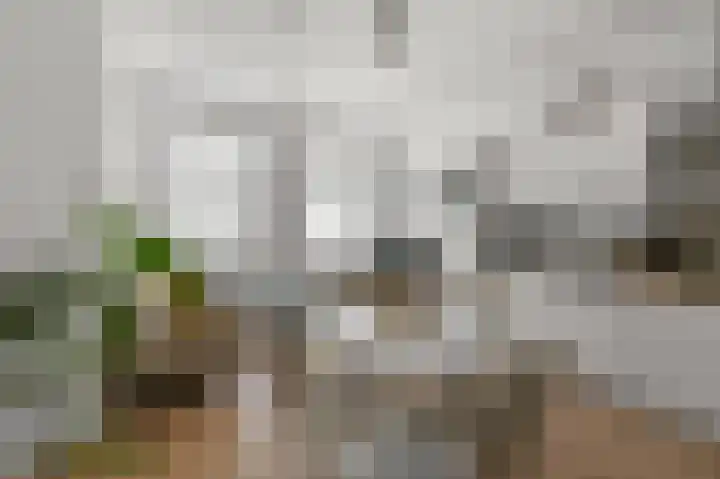 Zuideinde 23 B Wormerveer thumbnail 5