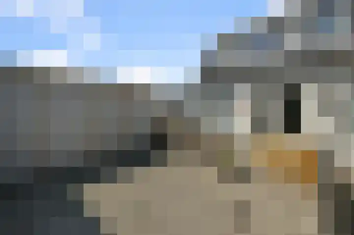 Zuideinde 23 D Wormerveer thumbnail 26