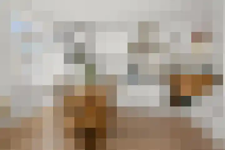 Zuideinde 23 D Wormerveer thumbnail 5