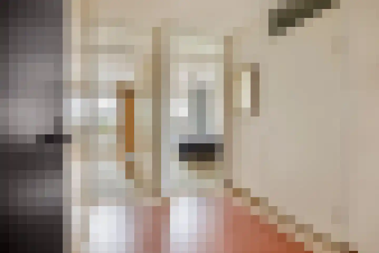 Zuideinde 233 Delft thumbnail 9