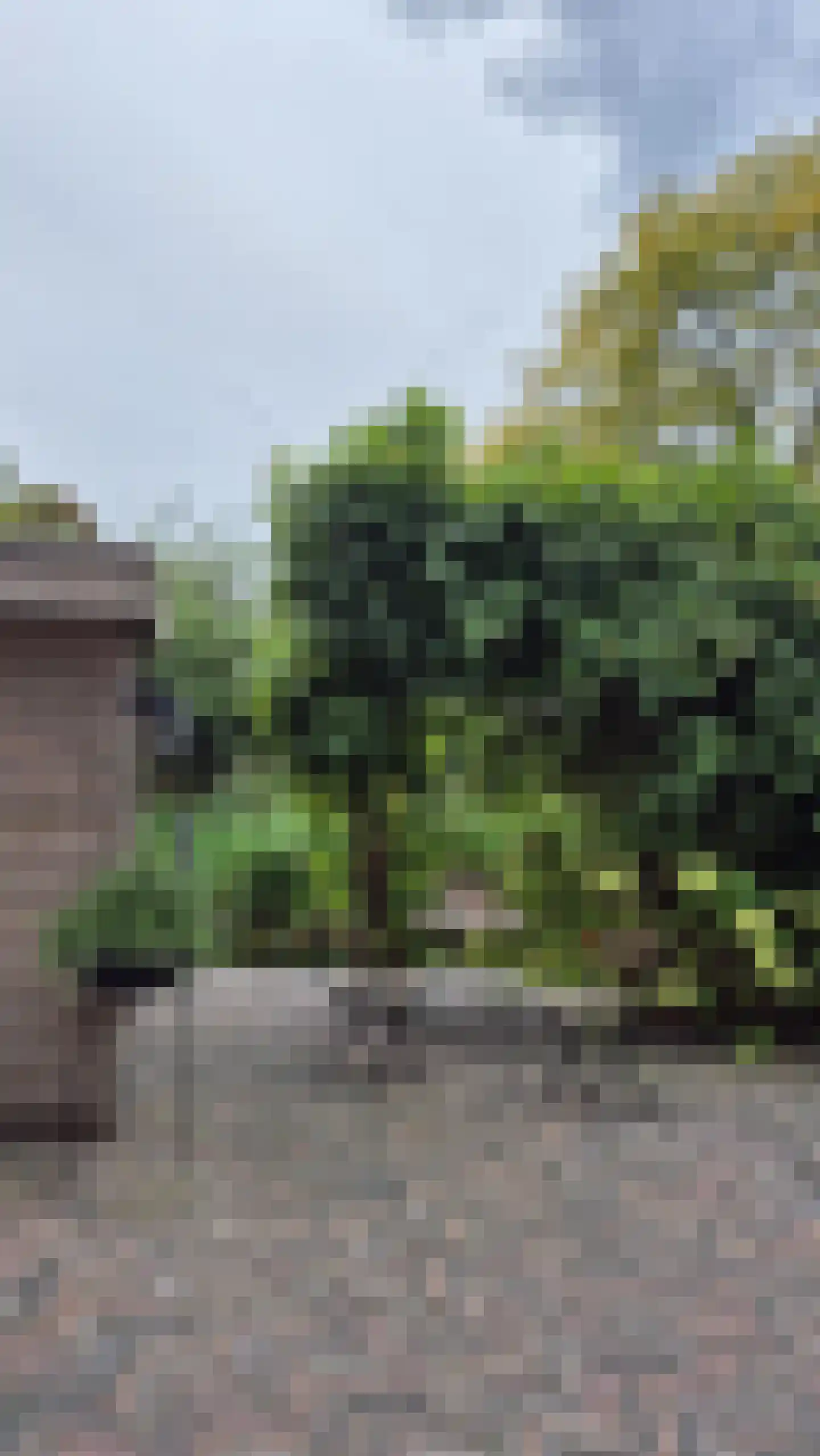 Zuideinde 236 Amsterdam thumbnail 21