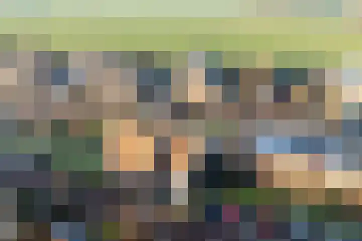 Zuideinde 24 Grootschermer