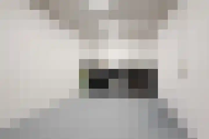 Zuideinde 24 Grootschermer thumbnail 16