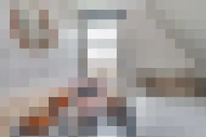 Zuideinde 24 Grootschermer thumbnail 22