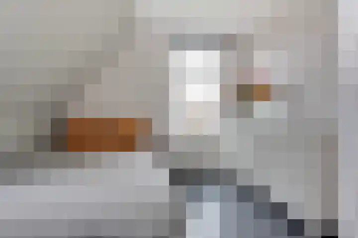 Zuideinde 24 Grootschermer thumbnail 24