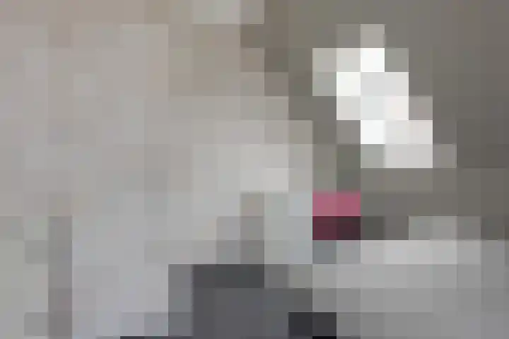 Zuideinde 24 Grootschermer thumbnail 26