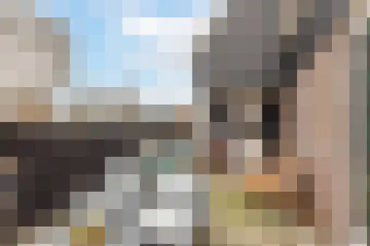 Zuideinde 24 Grootschermer thumbnail 35