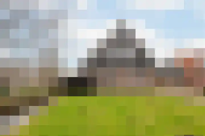 Zuideinde 24 Grootschermer thumbnail 39
