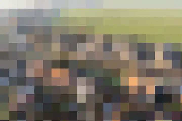Zuideinde 24 Grootschermer thumbnail 42