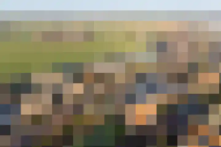 Zuideinde 24 Grootschermer thumbnail 43