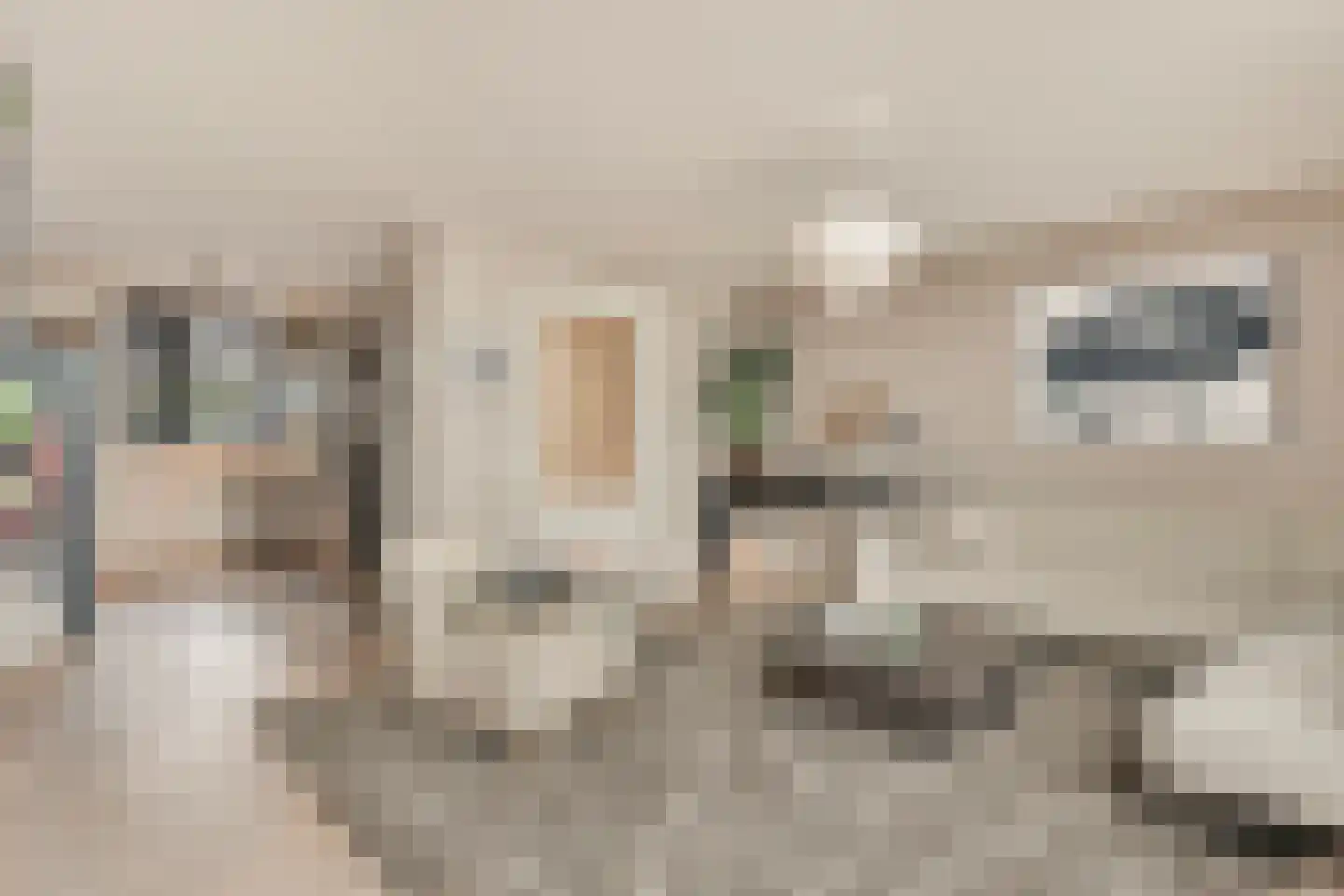 Zuideinde 244 Amsterdam thumbnail 10