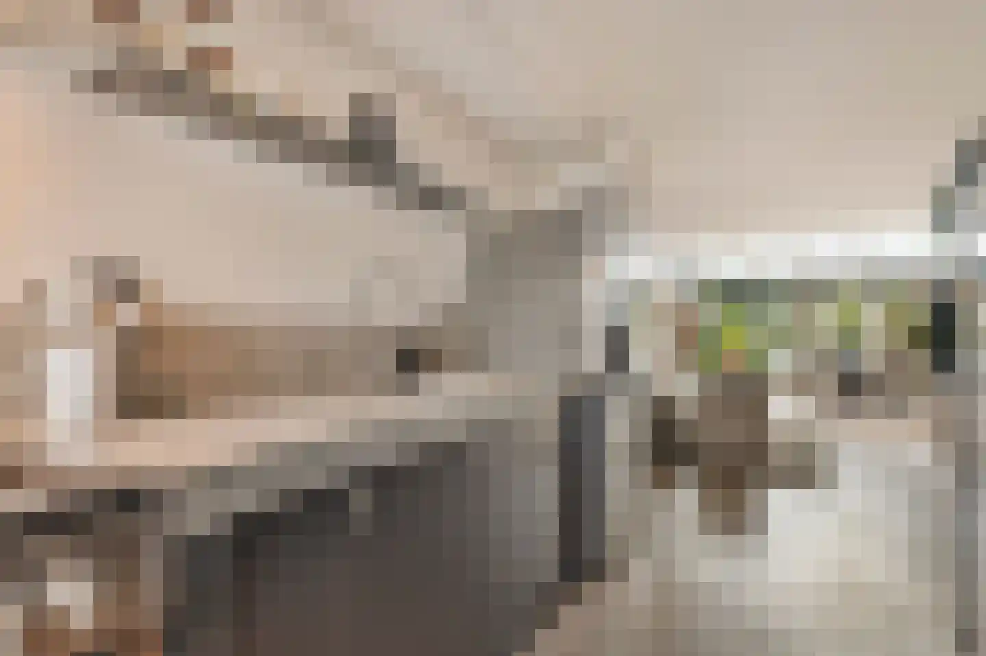 Zuideinde 244 Amsterdam thumbnail 14