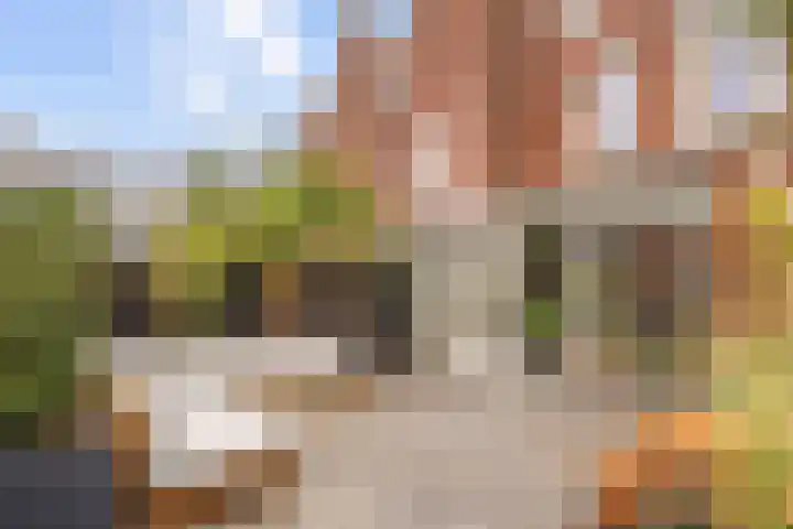 Zuideinde 244 Amsterdam thumbnail 22