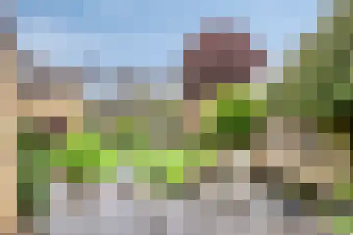 Zuideinde 244 Amsterdam thumbnail 45