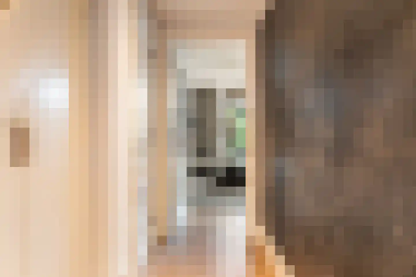 Zuideinde 244 Amsterdam thumbnail 5
