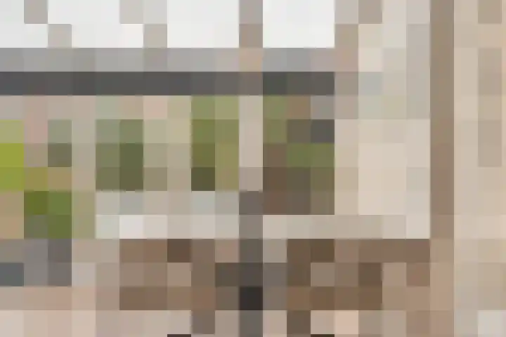 Zuideinde 244 Amsterdam thumbnail 7