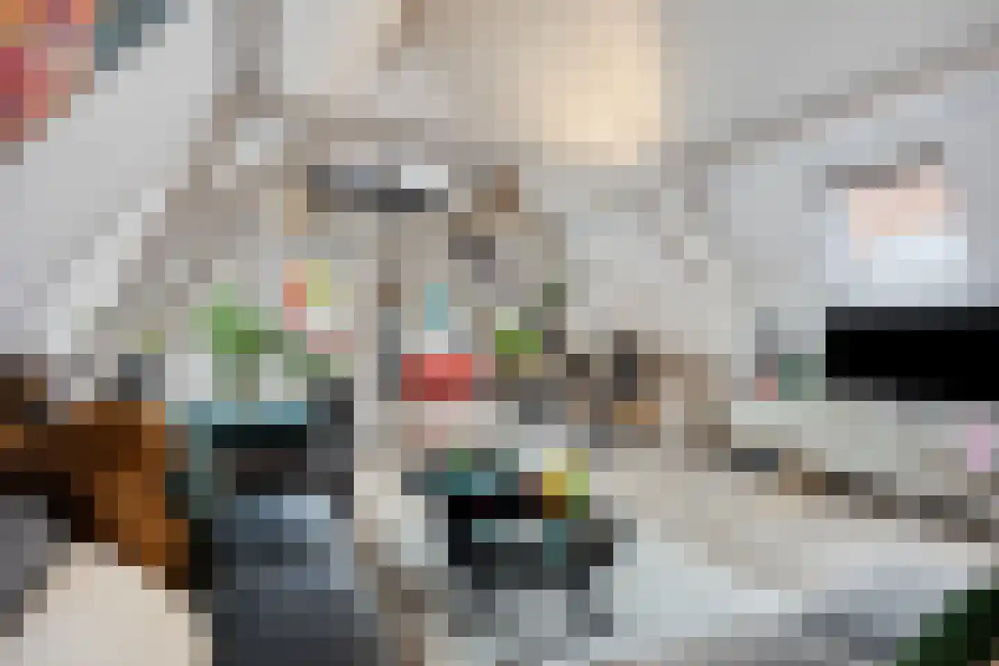 Zuideinde 25 Monnickendam thumbnail 22