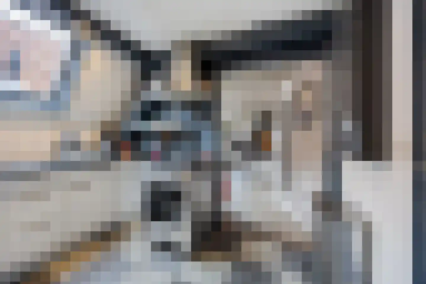 Zuideinde 25 Monnickendam thumbnail 25