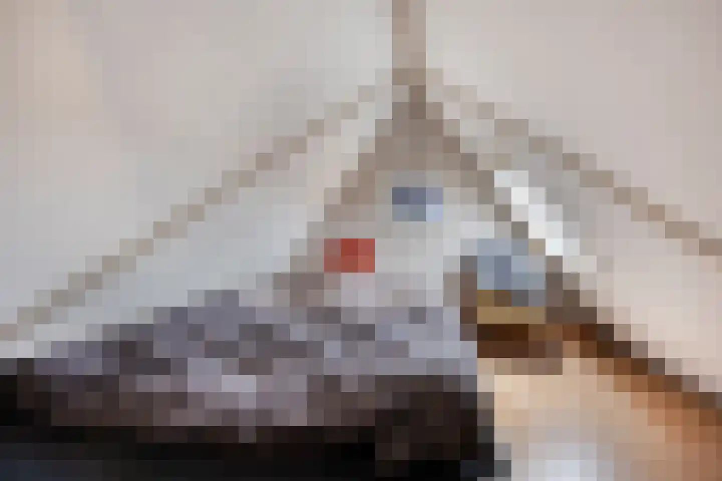 Zuideinde 25 Monnickendam thumbnail 26