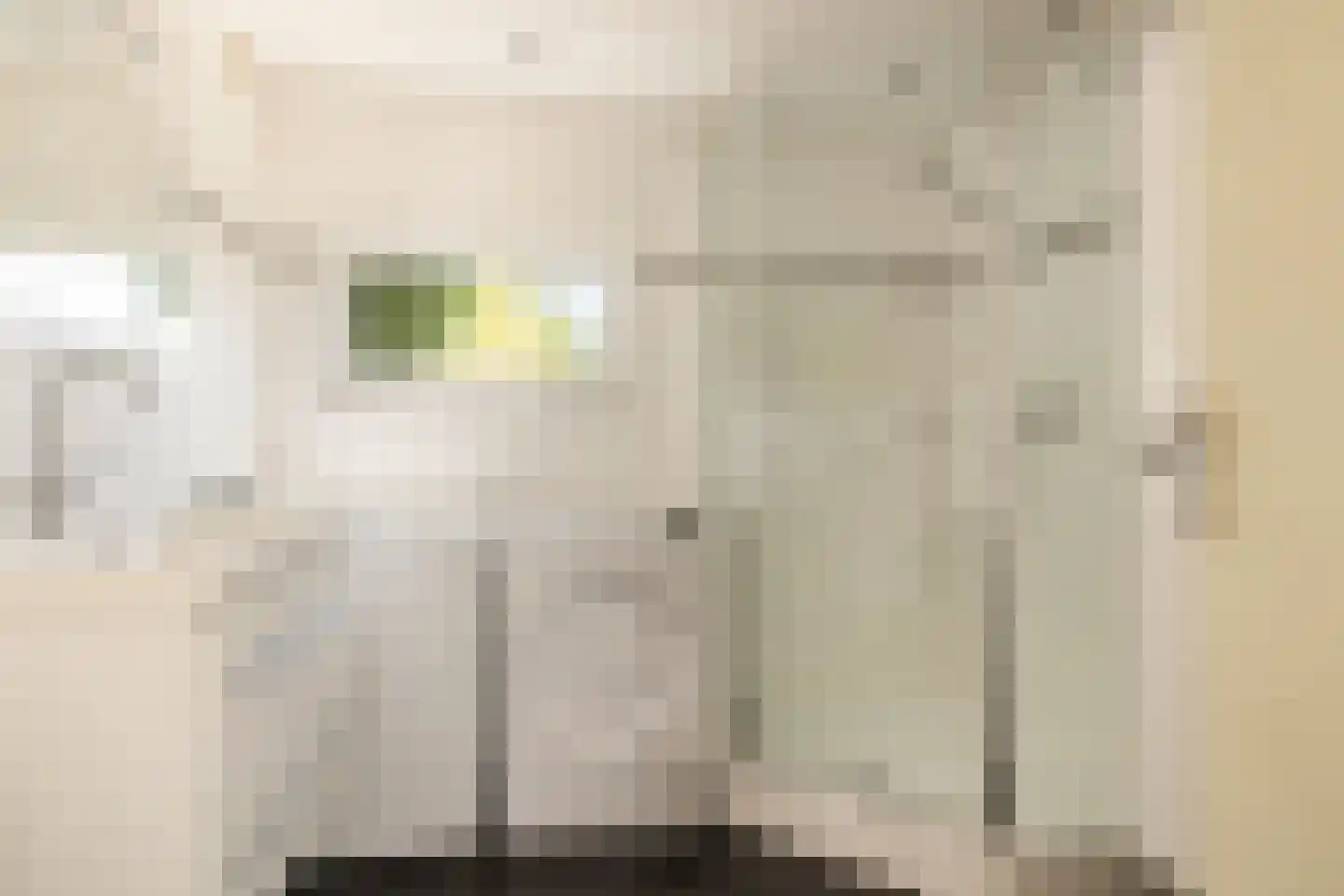 Zuideinde 253 Oostzaan thumbnail 12