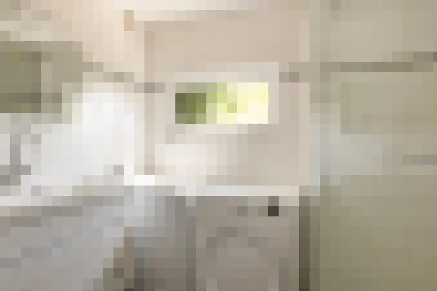 Zuideinde 253 Oostzaan thumbnail 14