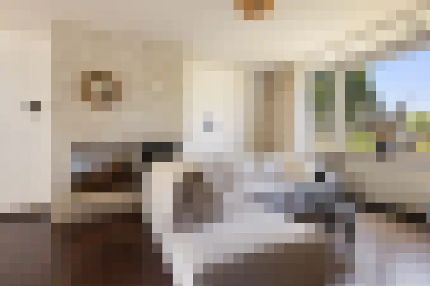 Zuideinde 253 Oostzaan thumbnail 22