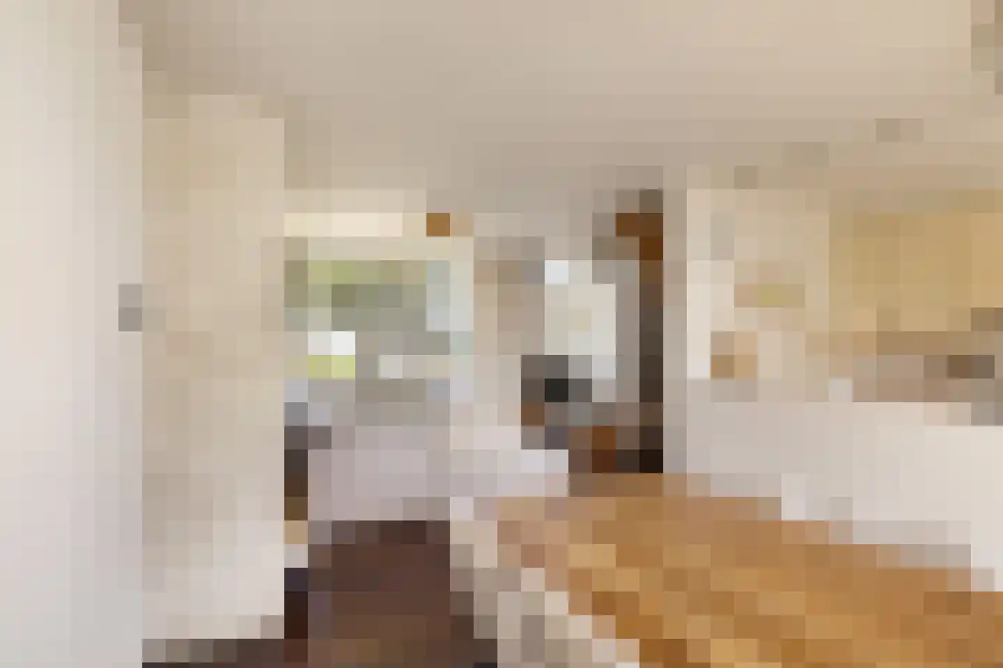 Zuideinde 253 Oostzaan thumbnail 31