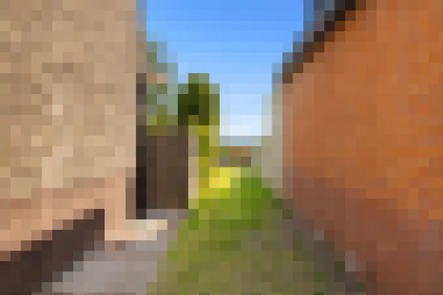 Zuideinde 253 Oostzaan thumbnail 32