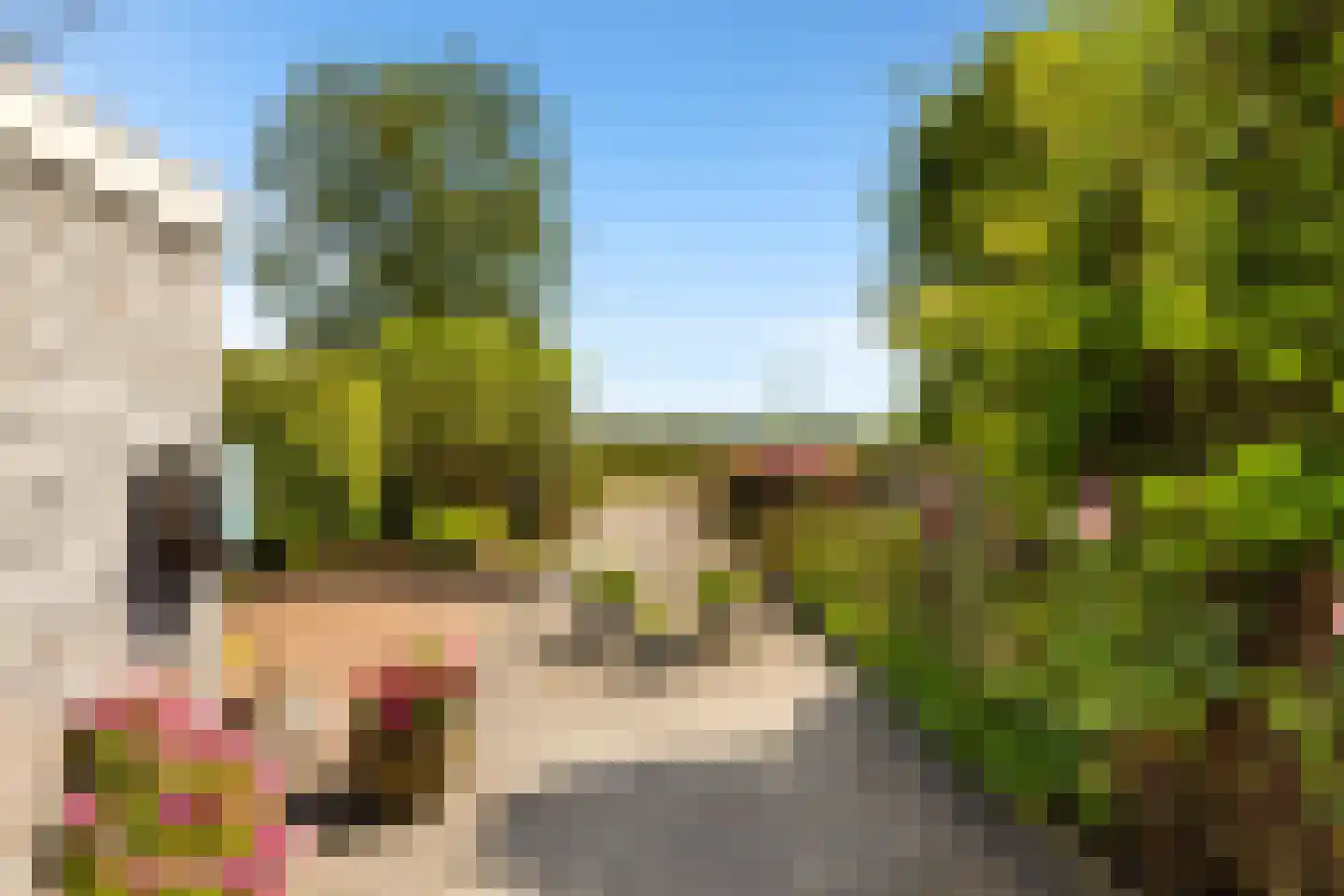 Zuideinde 253 Oostzaan thumbnail 36