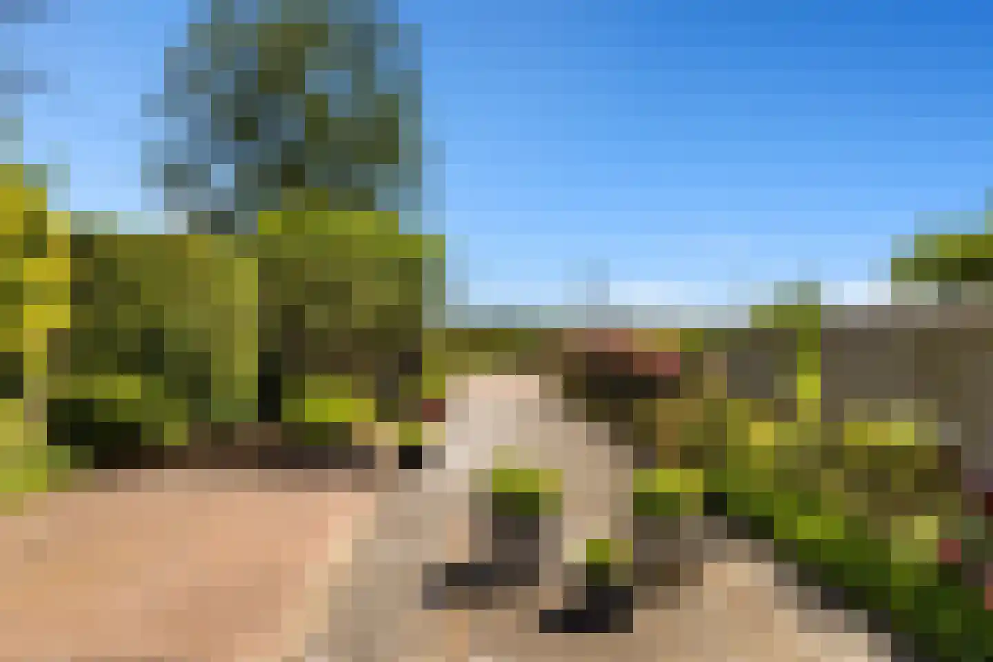 Zuideinde 253 Oostzaan thumbnail 37