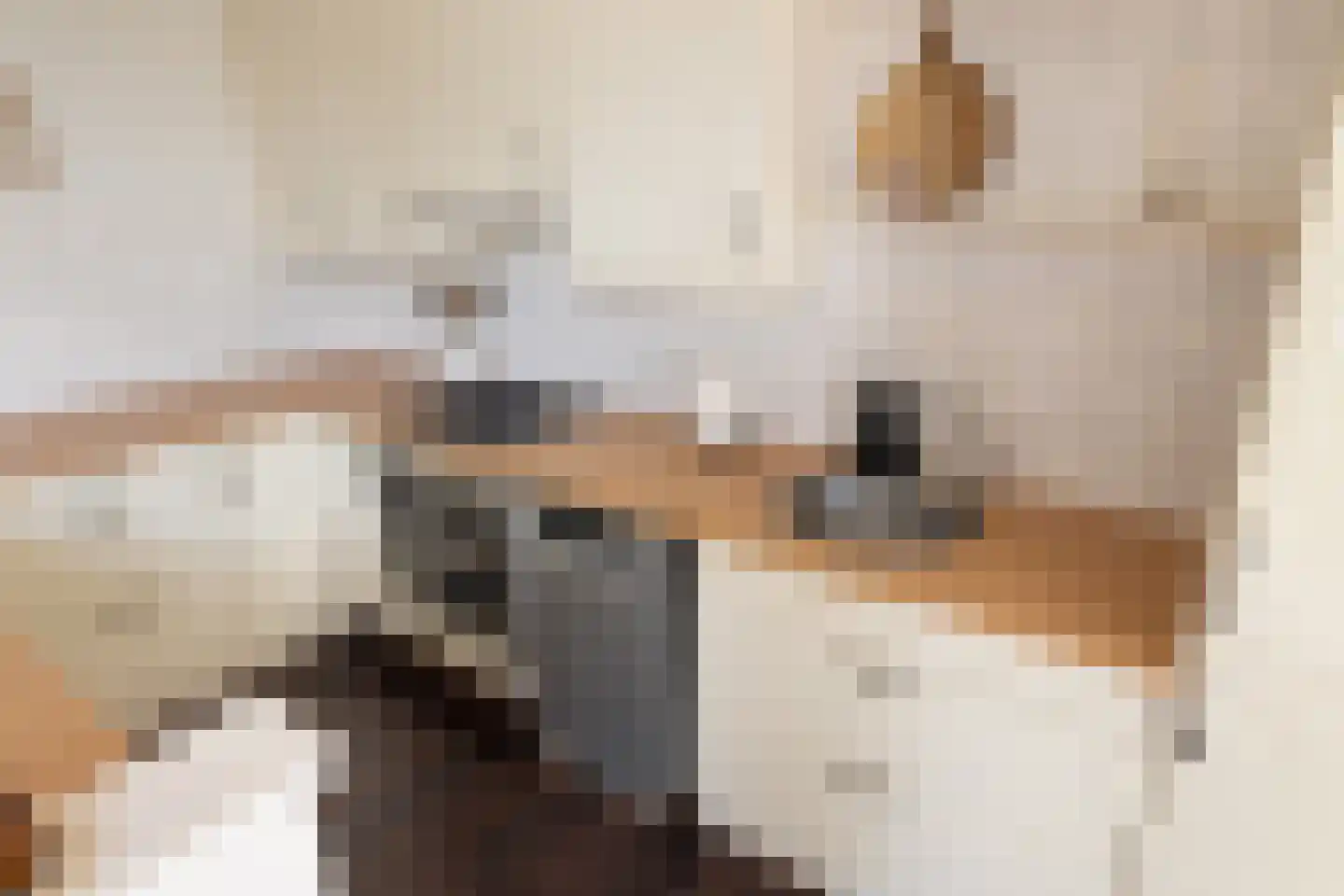 Zuideinde 253 Oostzaan thumbnail 4