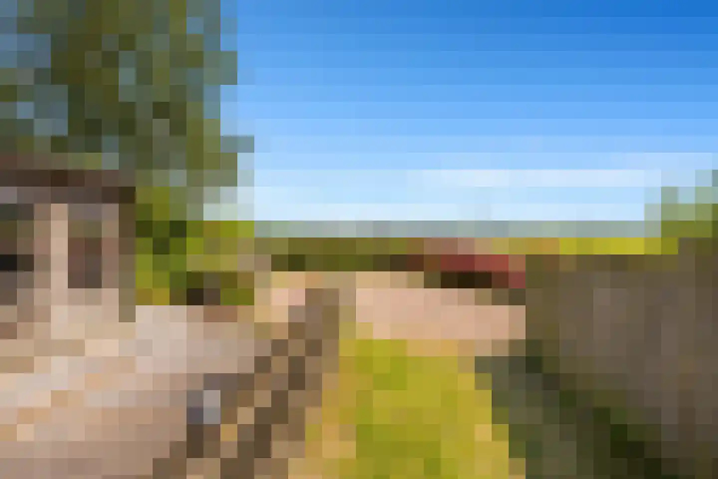 Zuideinde 253 Oostzaan thumbnail 44