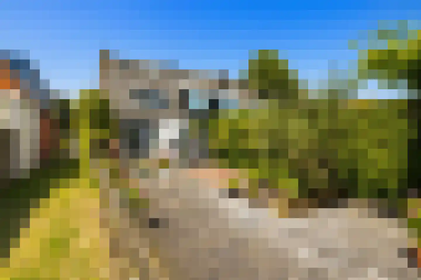 Zuideinde 253 Oostzaan thumbnail 51