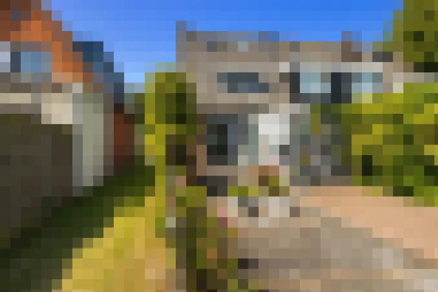 Zuideinde 253 Oostzaan thumbnail 53
