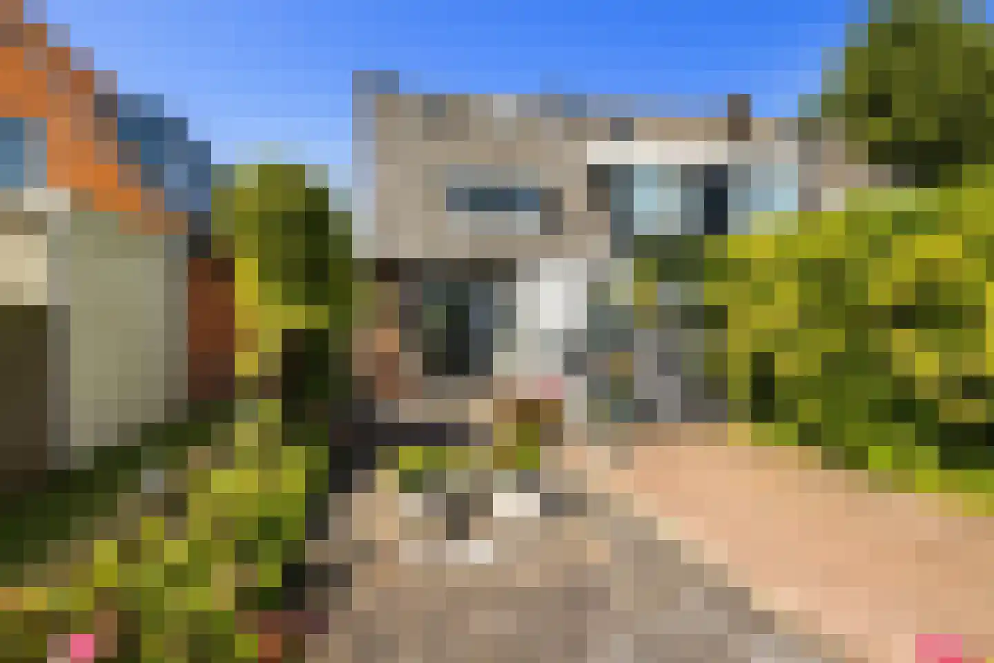 Zuideinde 253 Oostzaan thumbnail 54