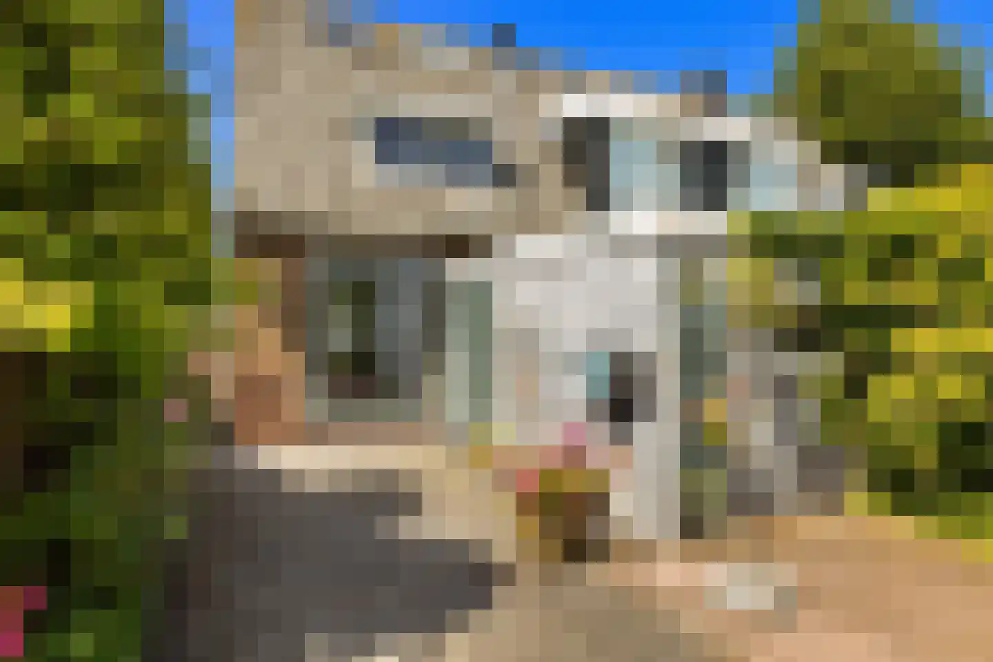 Zuideinde 253 Oostzaan thumbnail 56