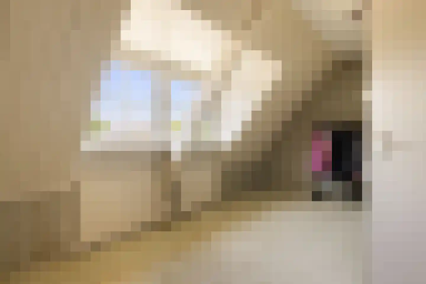 Zuideinde 253 Oostzaan thumbnail 66