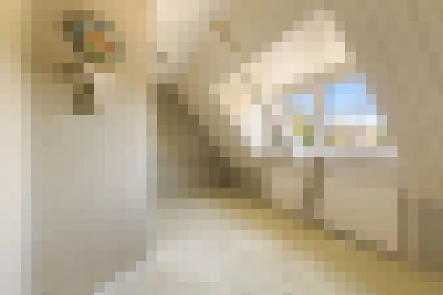 Zuideinde 253 Oostzaan thumbnail 68