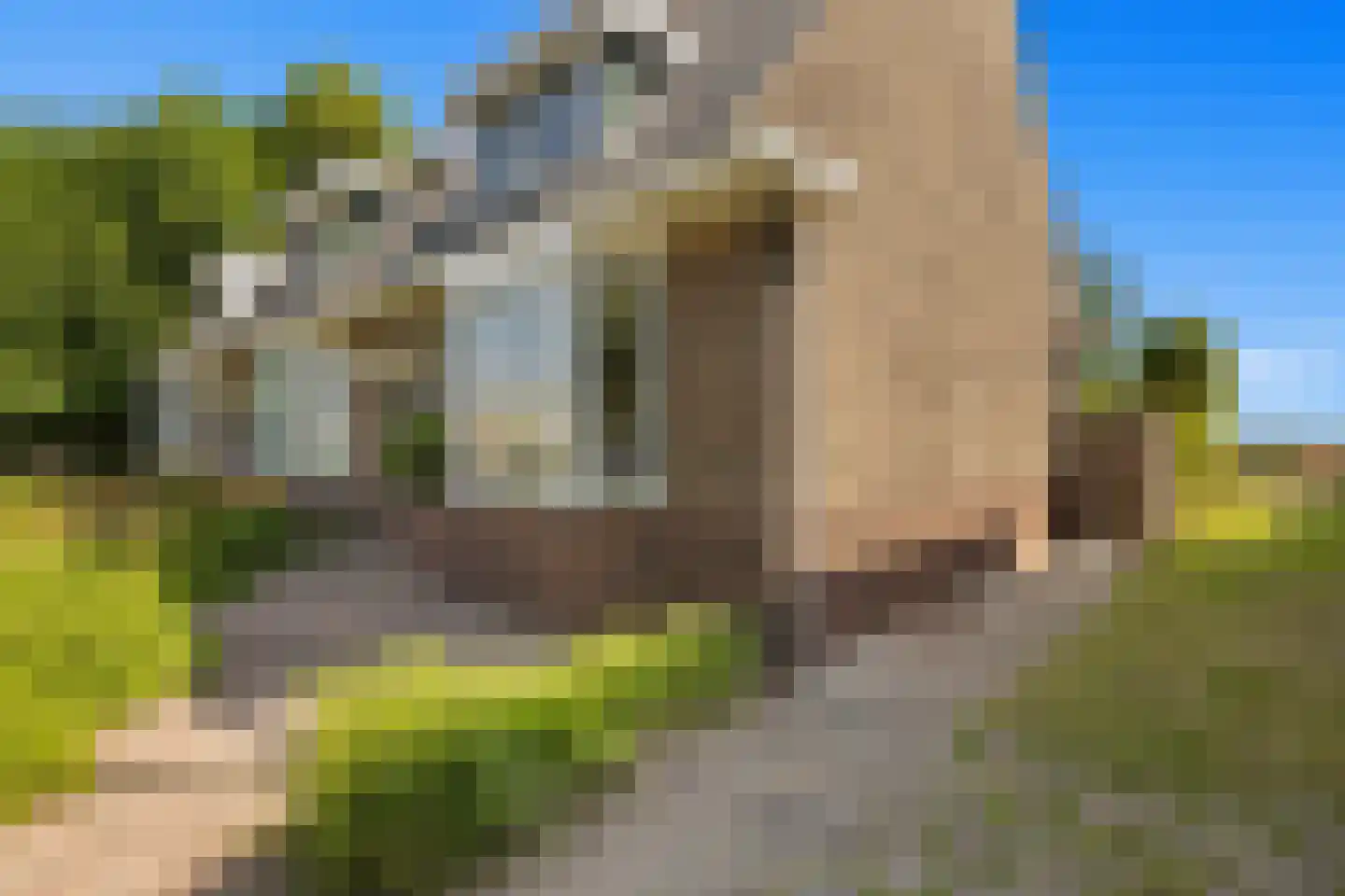 Zuideinde 253 Oostzaan thumbnail 8