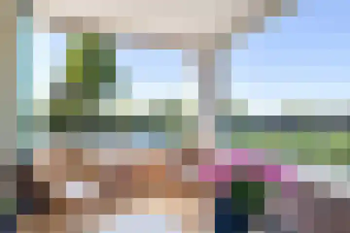 Zuideinde 269 Nieuwkoop thumbnail 16