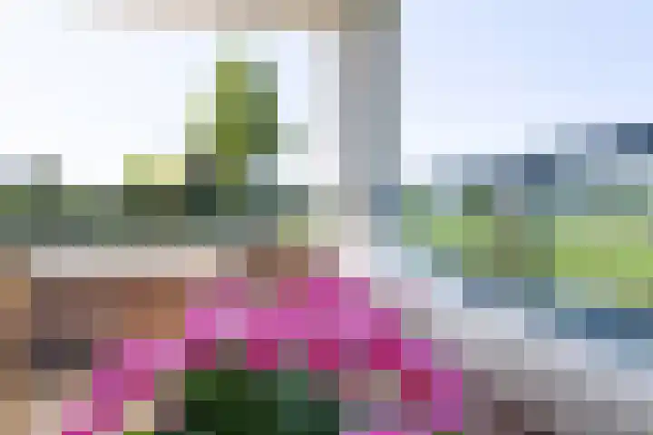 Zuideinde 269 Nieuwkoop thumbnail 18