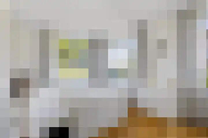 Zuideinde 269 Nieuwkoop thumbnail 23