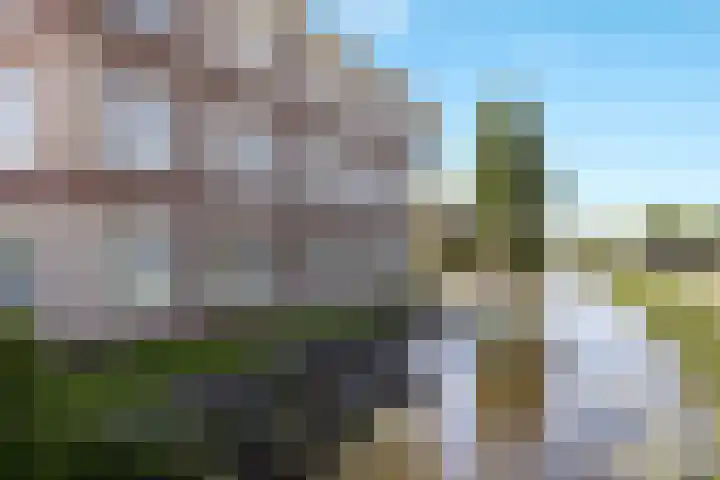 Zuideinde 269 Nieuwkoop thumbnail 36