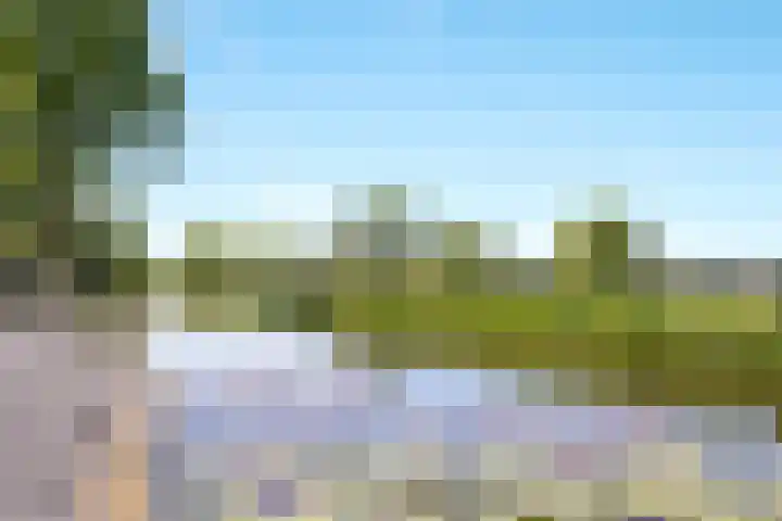 Zuideinde 269 Nieuwkoop thumbnail 37