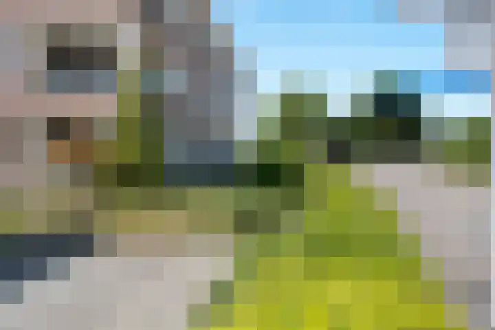 Zuideinde 269 Nieuwkoop thumbnail 40