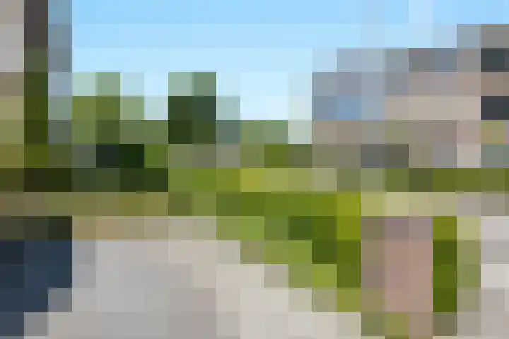 Zuideinde 269 Nieuwkoop thumbnail 41