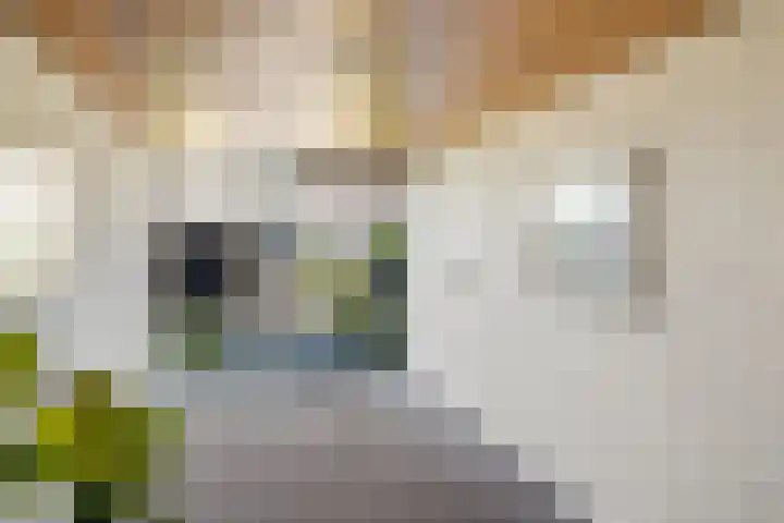 Zuideinde 269 Nieuwkoop thumbnail 43
