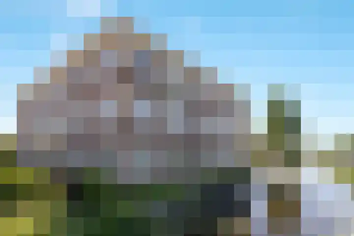 Zuideinde 269 Nieuwkoop thumbnail 48